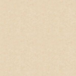 RIMMINI BEIGE 5050 1º CAJA 2.30MT2